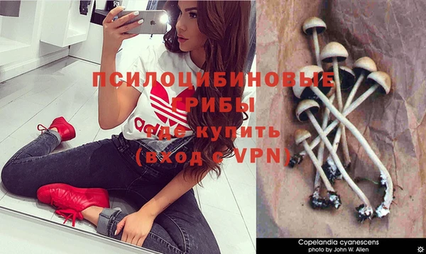 а пвп мука Балабаново